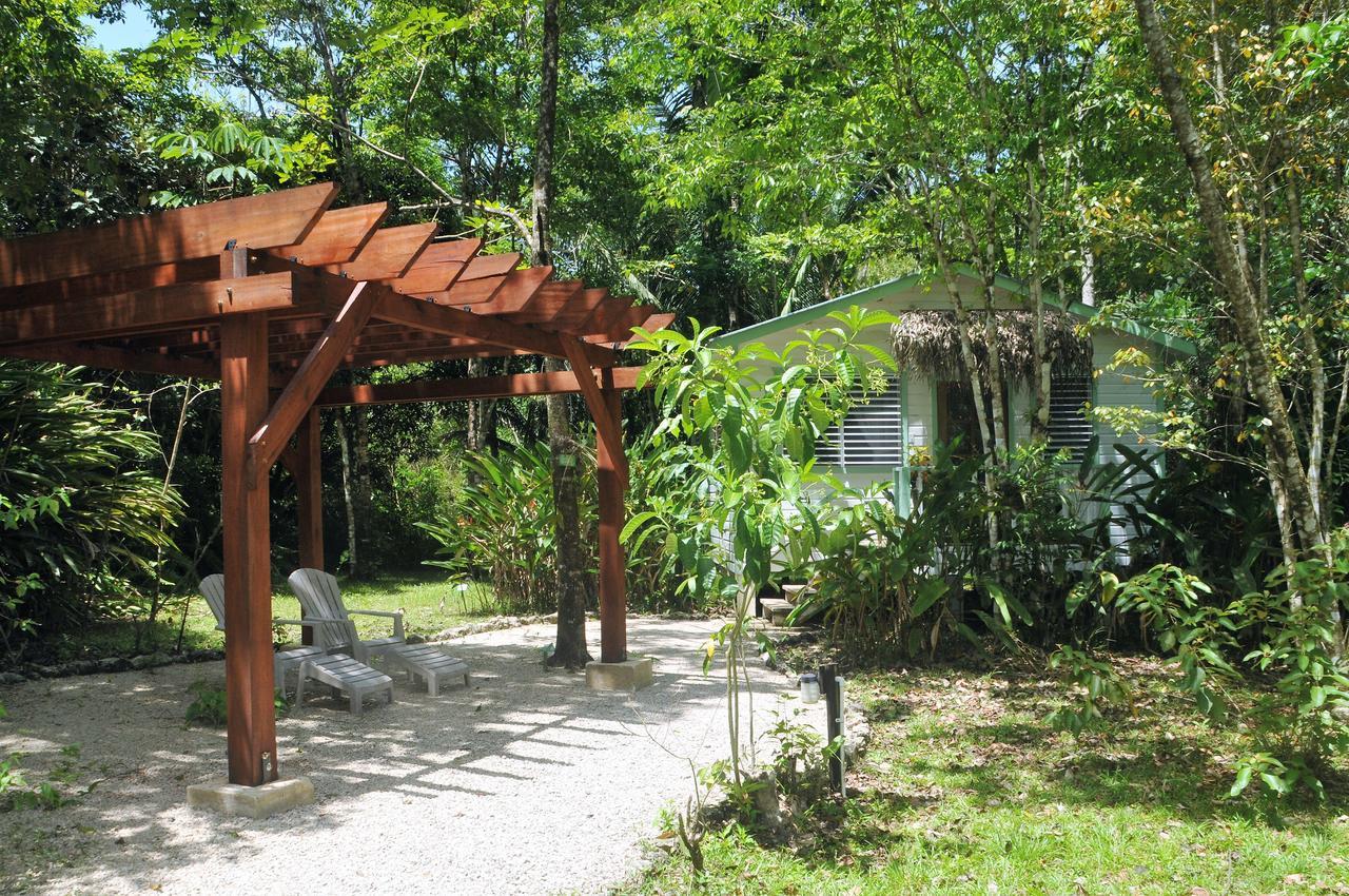 Hickatee Cottages, Belize, Central America Punta Gorda Zewnętrze zdjęcie