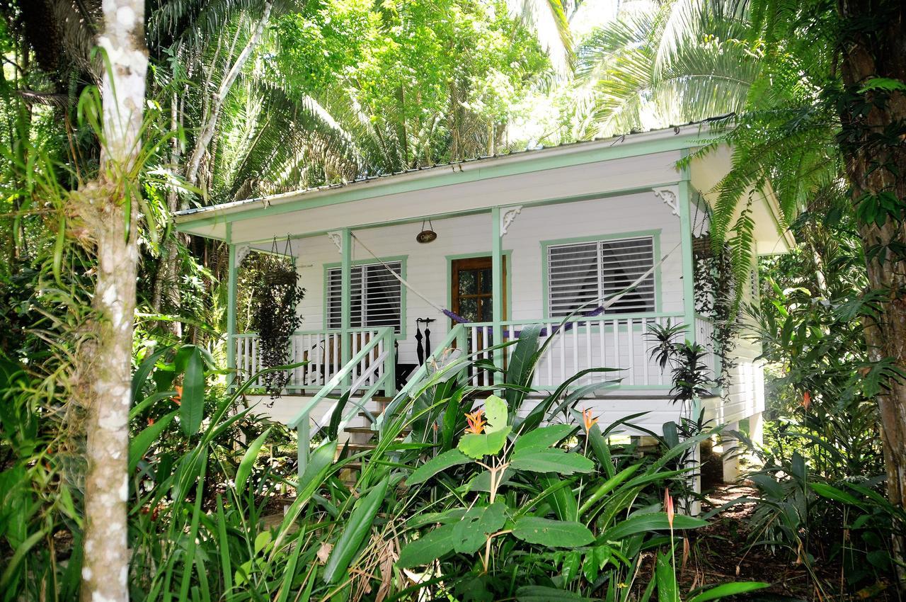 Hickatee Cottages, Belize, Central America Punta Gorda Zewnętrze zdjęcie