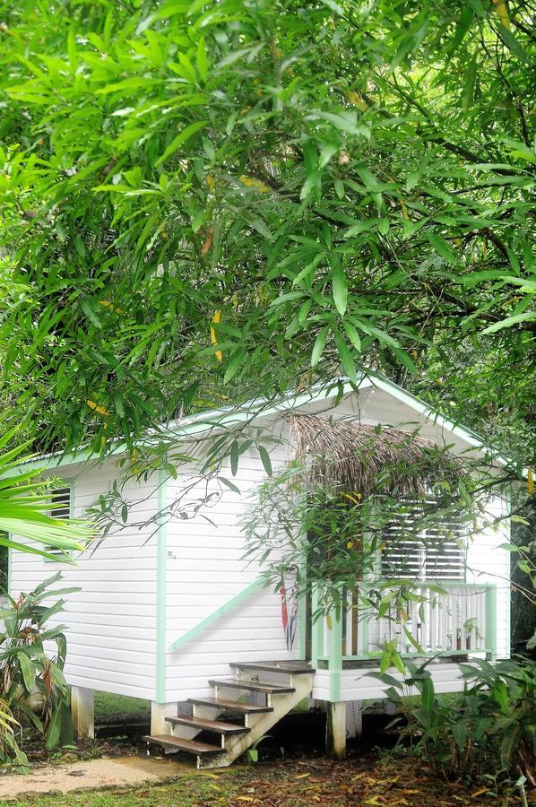 Hickatee Cottages, Belize, Central America Punta Gorda Zewnętrze zdjęcie