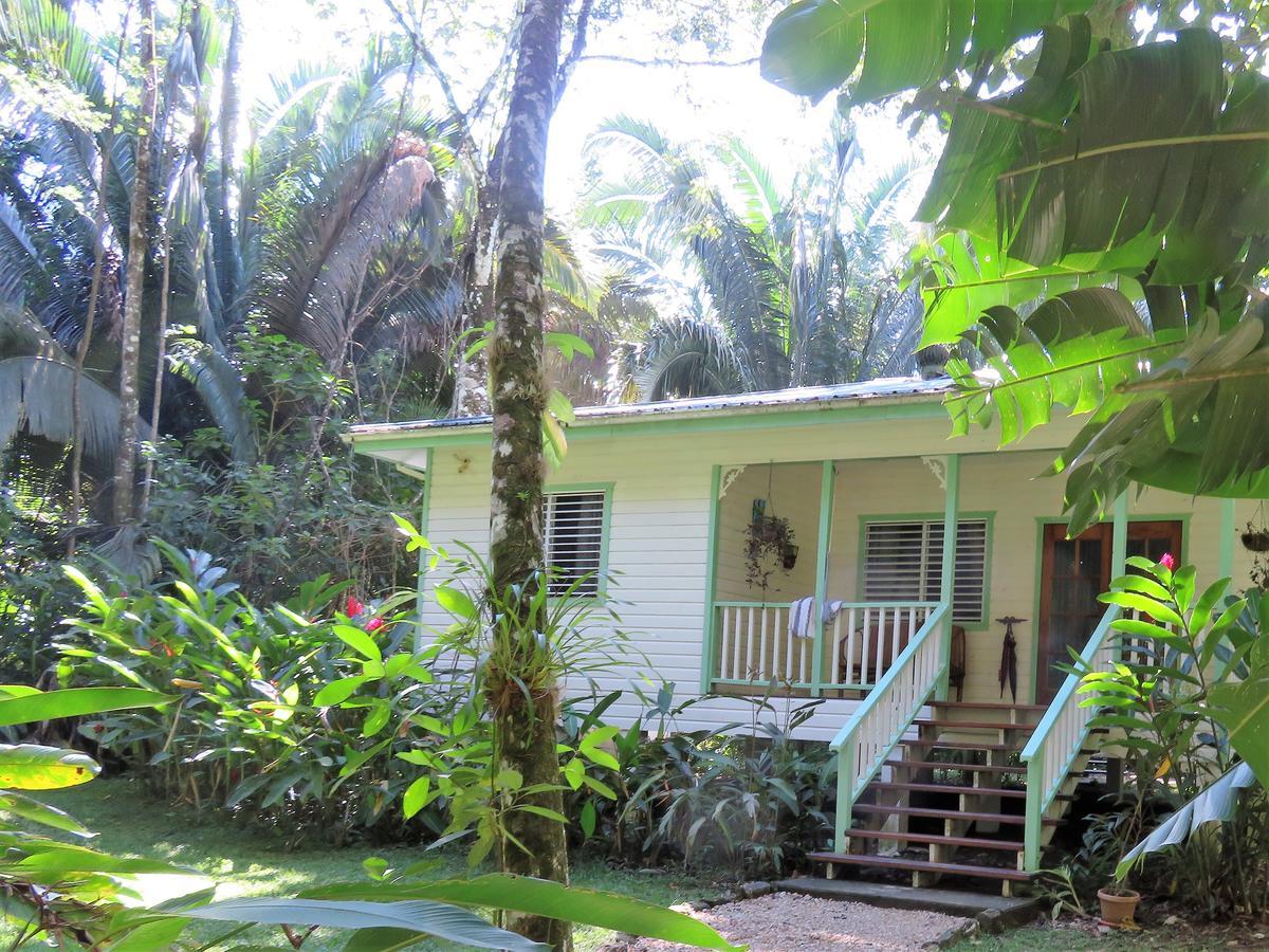 Hickatee Cottages, Belize, Central America Punta Gorda Zewnętrze zdjęcie